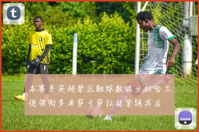 本赛季英超禁区触球数据分析哈兰德领衔多库萨卡萨拉赫紧随其后